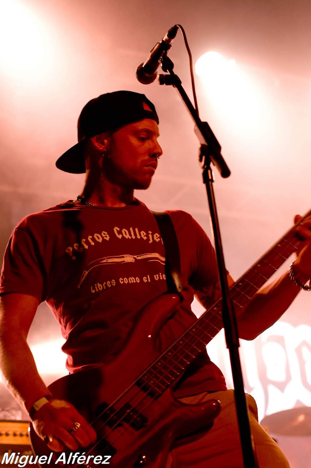 Camiseta Perros Callejeros en Burdeos