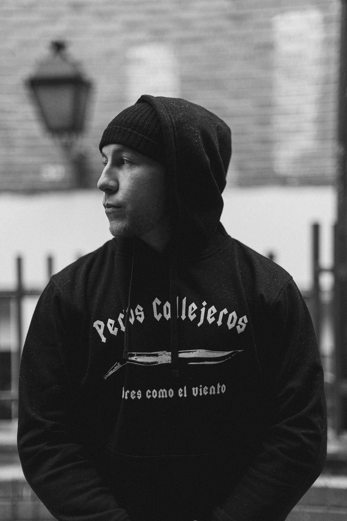Sudadera Perros Callejeros Capucha