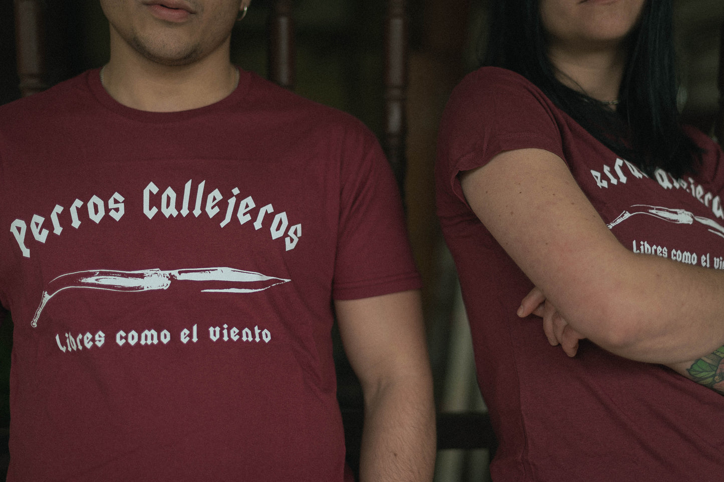 Camiseta Perros Callejeros en Burdeos