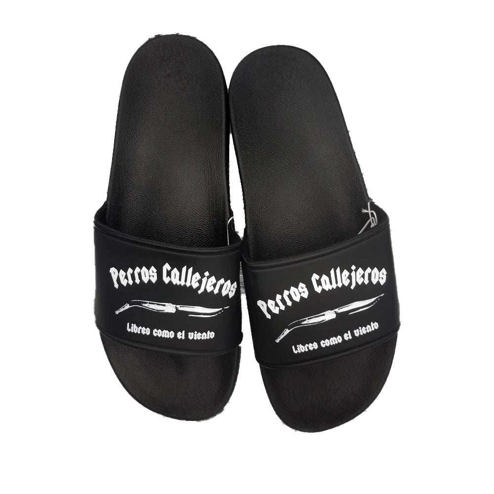 CHANCLAS PERROS CALLEJEROS