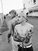 Llega el Blog de Perros Callejeros