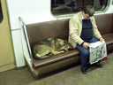 Los Perros Callejeros rusos cogen el metro para ir a comer al centro.