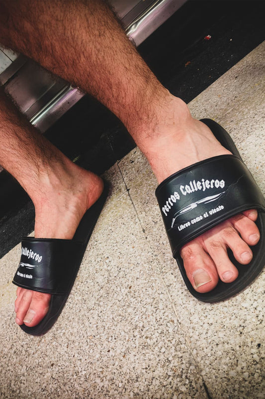 CHANCLAS PERROS CALLEJEROS