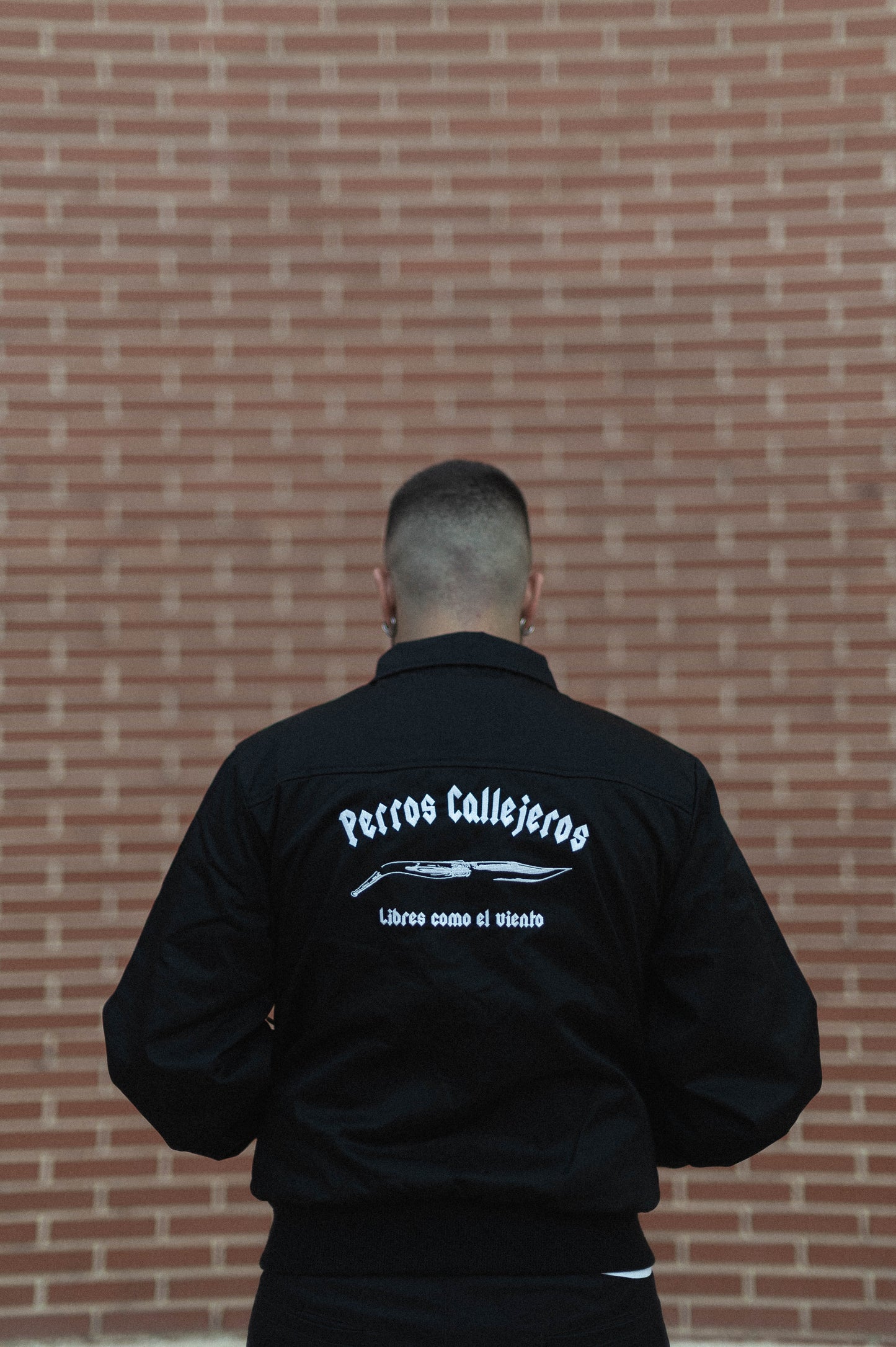 Chaqueta estilo Harrington bordada
