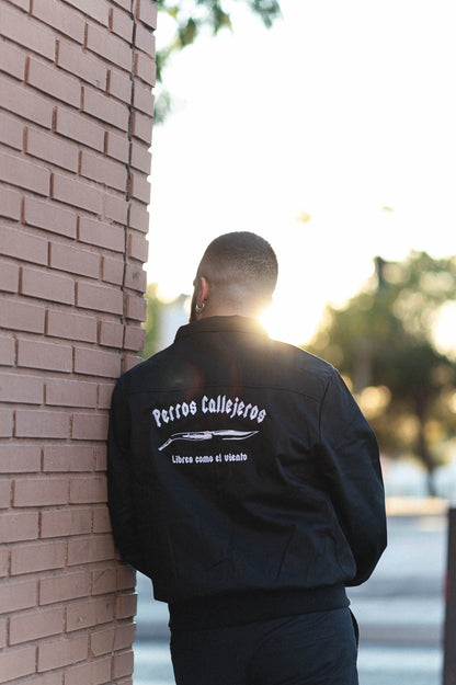 Chaqueta estilo Harrington bordada