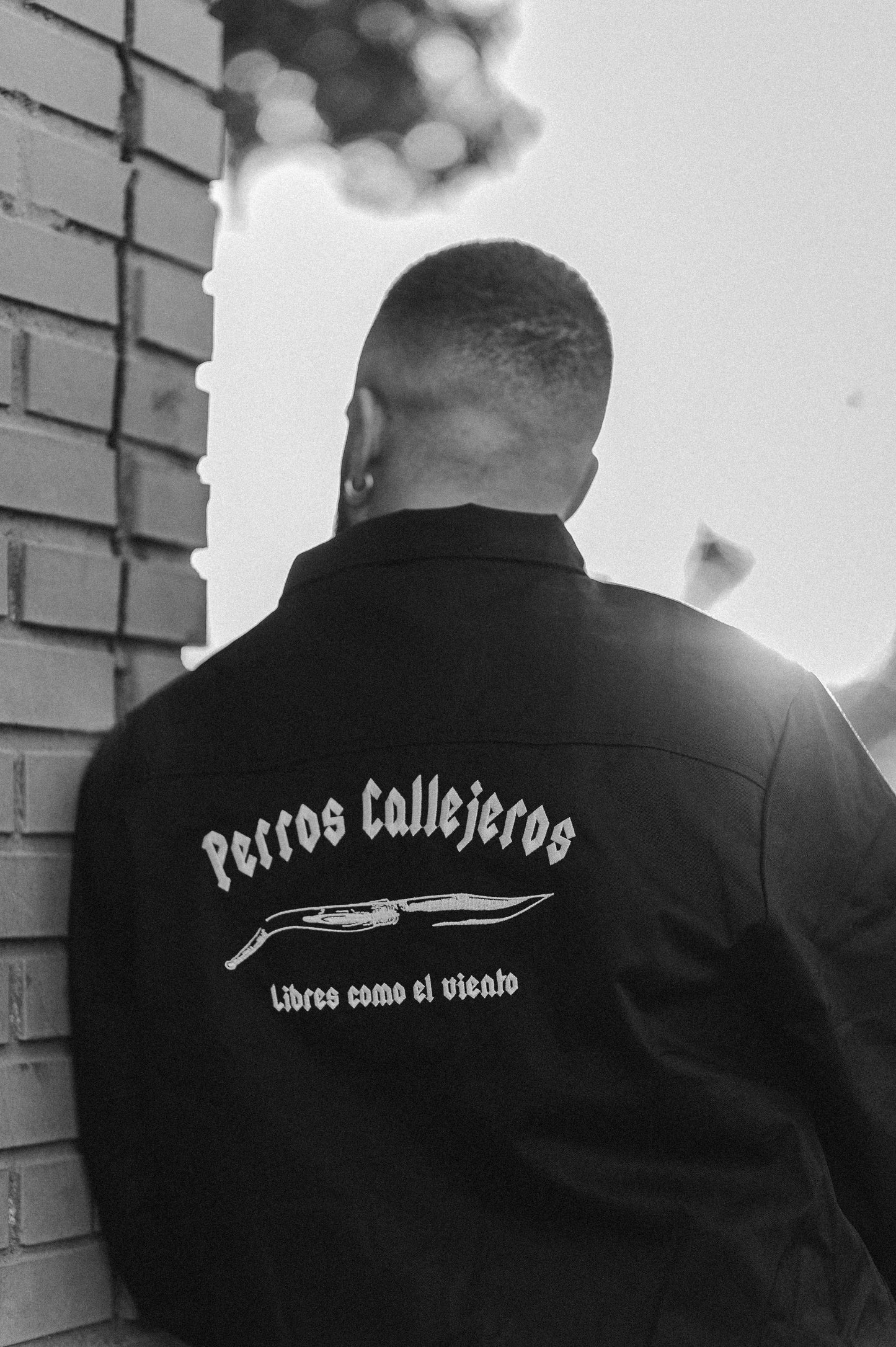 Chaqueta estilo Harrington bordada