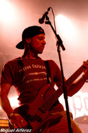 Camiseta Perros Callejeros en Burdeos