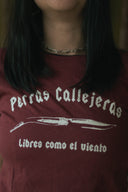 Perras Callejeras en Burdeos