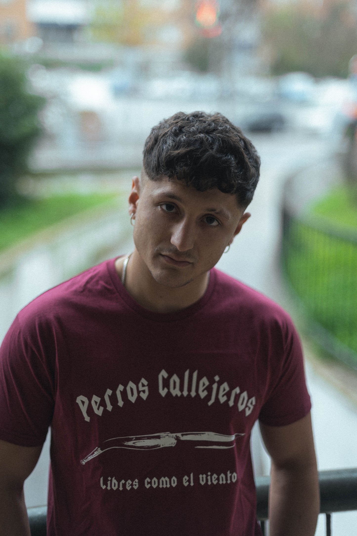 Camiseta Perros Callejeros en Burdeos