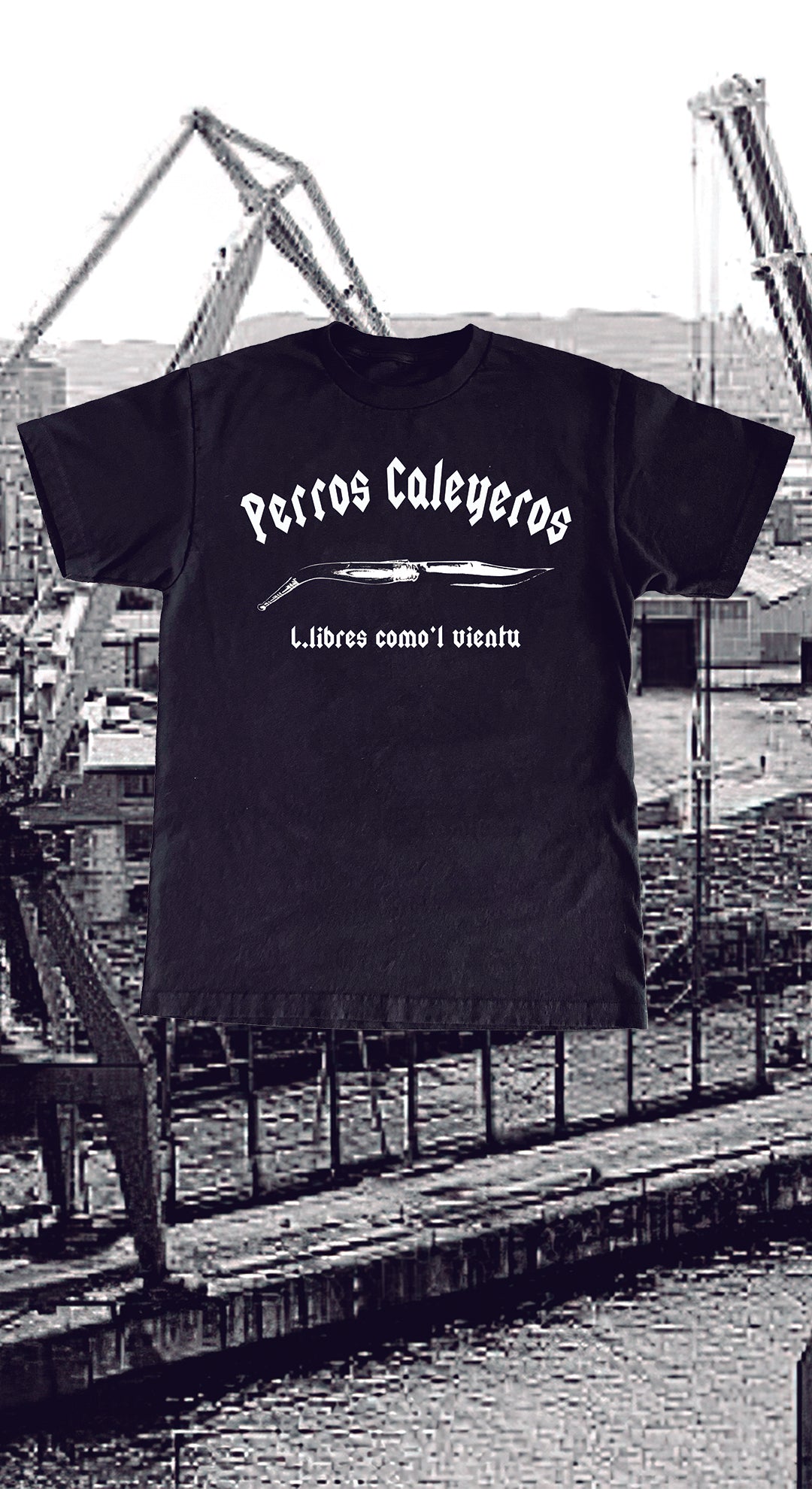 Perros Caleyeros